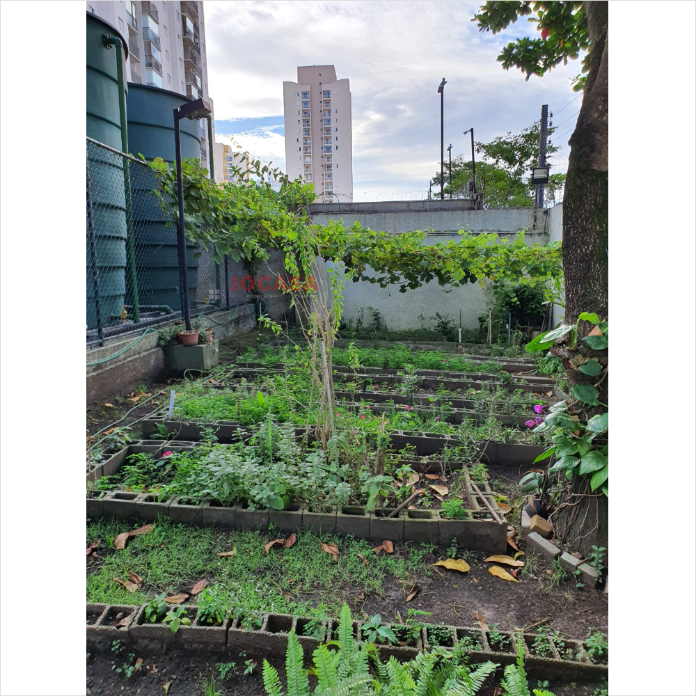 APARTAMENTO PARA VENDA VILA  ANTONIETA