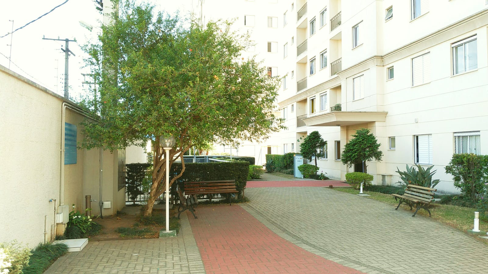 apartamento no jardim vila formosa