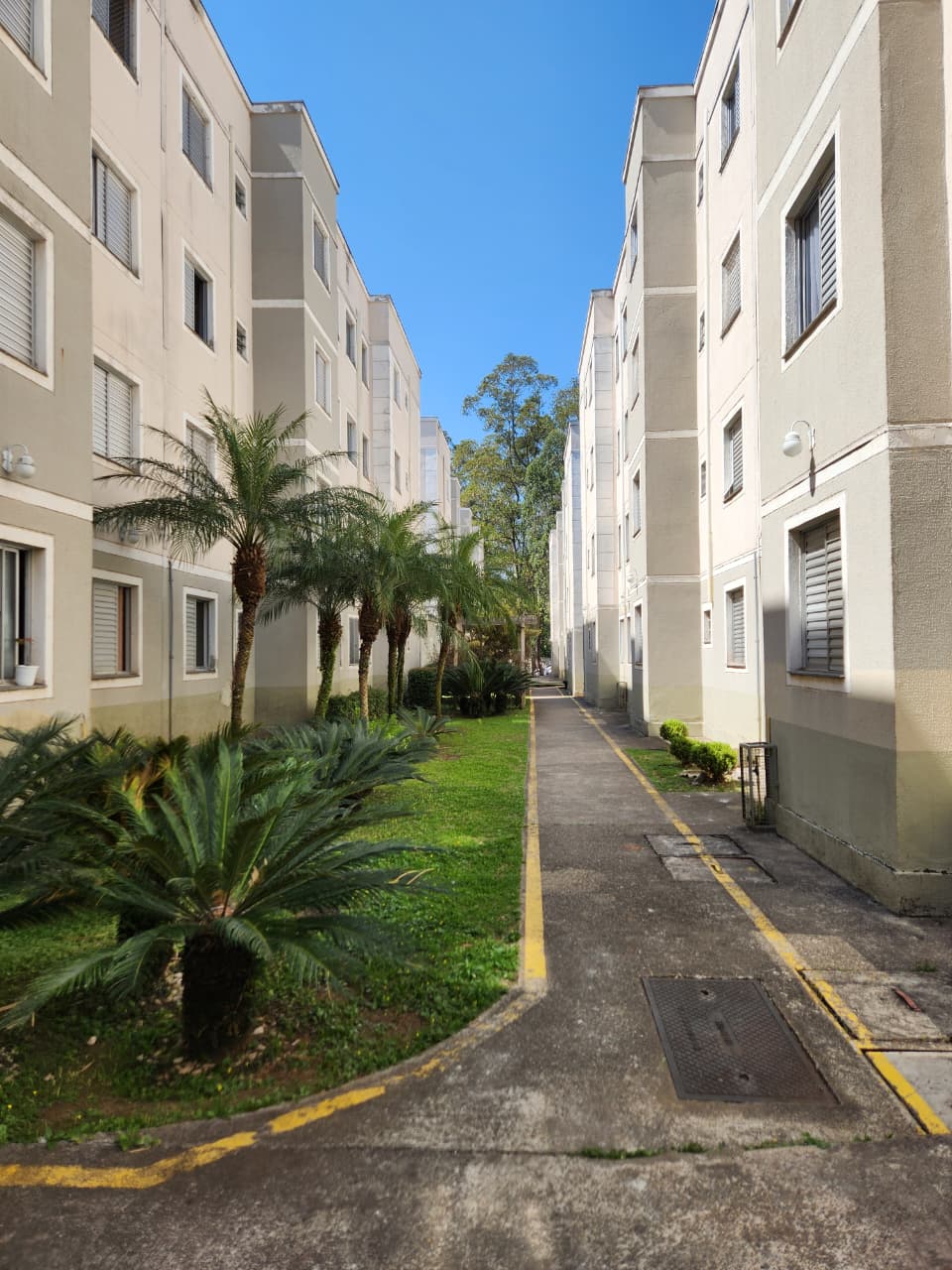 apartamento no jardim santa terezinha