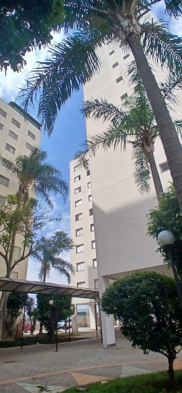 apartamento no jardim vila formosa