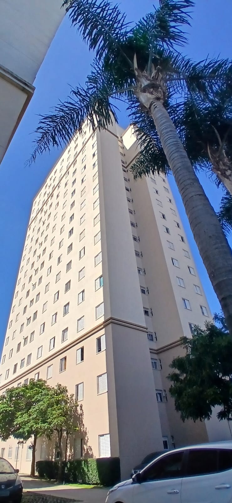 apatamento no jardim vila formosa